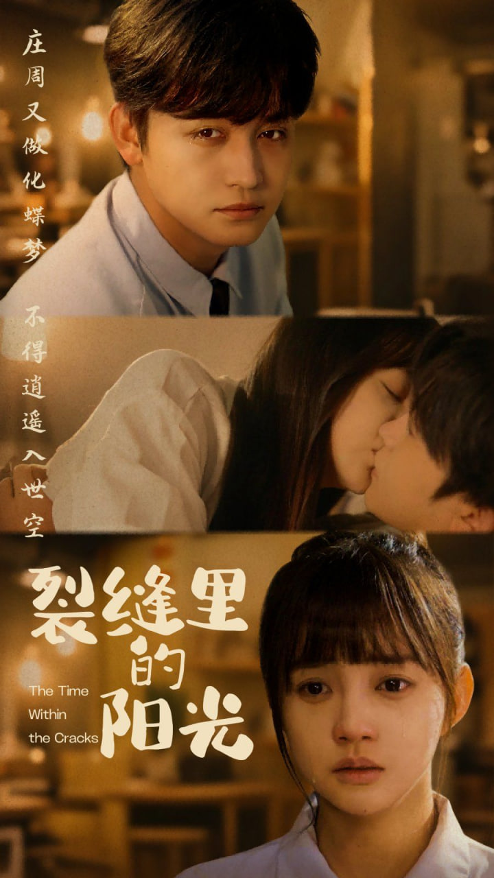裂缝里的阳光(全集)