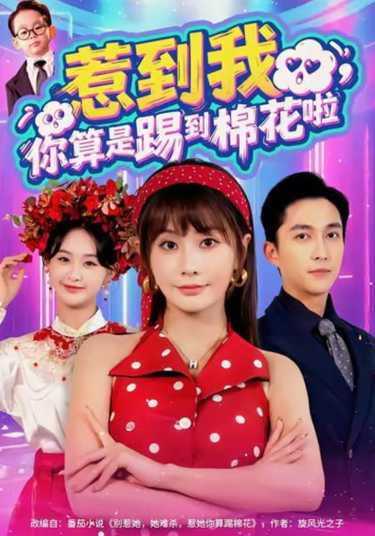 惹到我，你算是踢到棉花啦(全集)