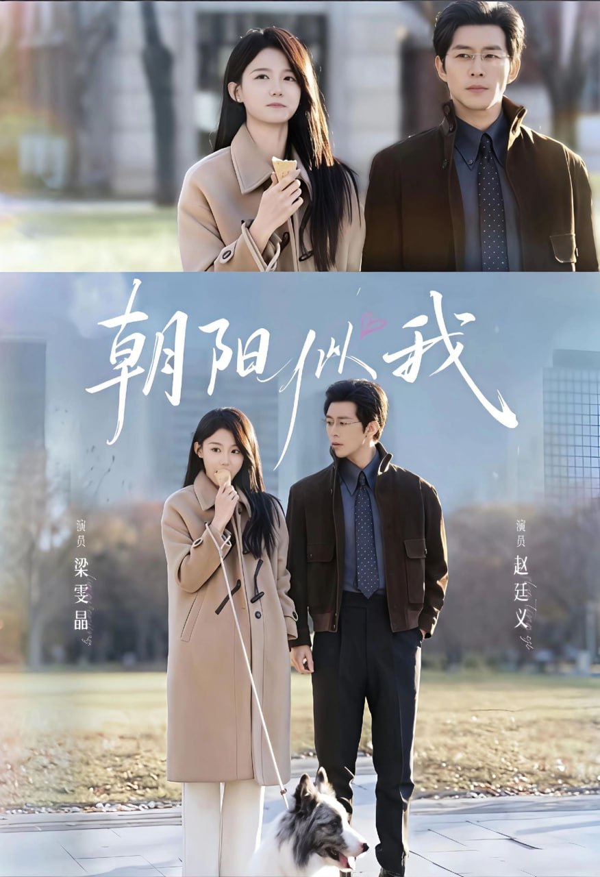 朝阳似我(全集)