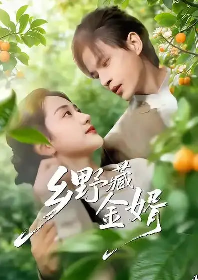 乡野藏金婿(全集)