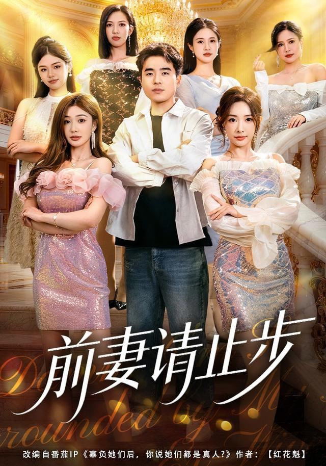 前妻请止步(全集)