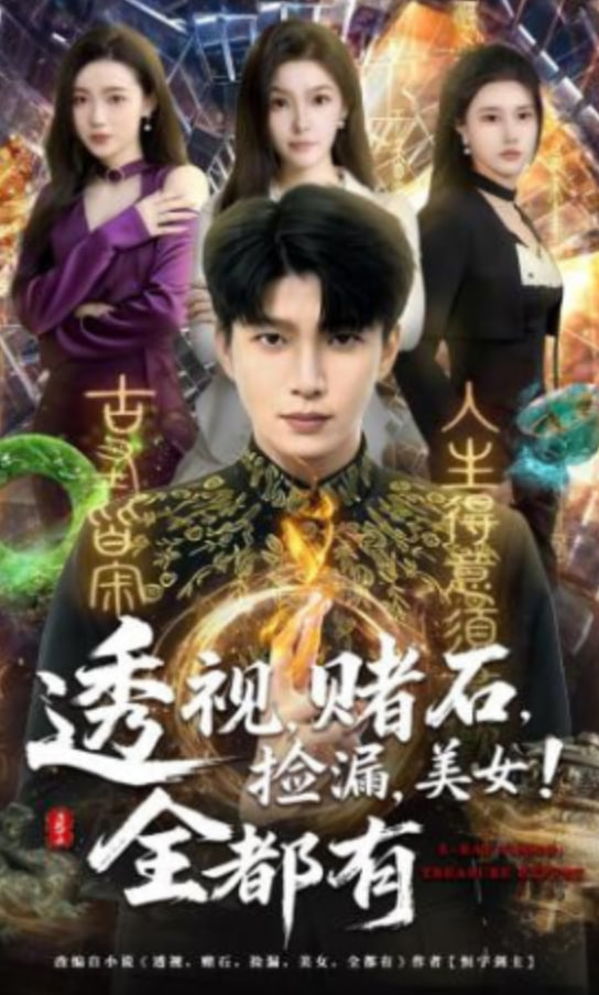透视，赌石，捡漏，美女！全都有(全集)